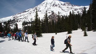 A ranger leads a line of students on snowshoes across a hillside underneath Mount Rainier. 