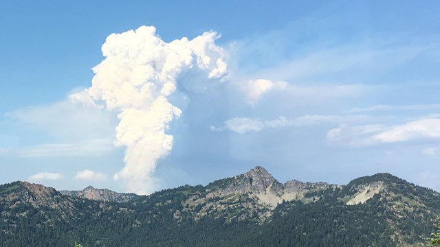 A plume of wildfire smoke rises from behind a forested mountain ridge.