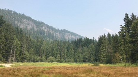 A meadow surrounded by forested hills mostly obscured by smoke. 