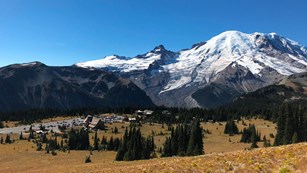 A cluster of buildings in yellow meadows on the slopes of a glaciated mountain.