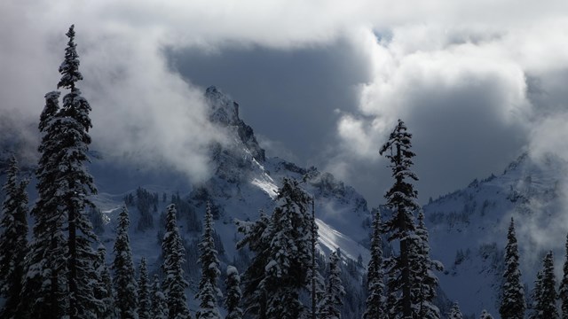 Clouds swirl around the snowy peaks of the Tatoosh Range.