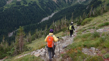 Two hikers decend a trail into a forested river valley.