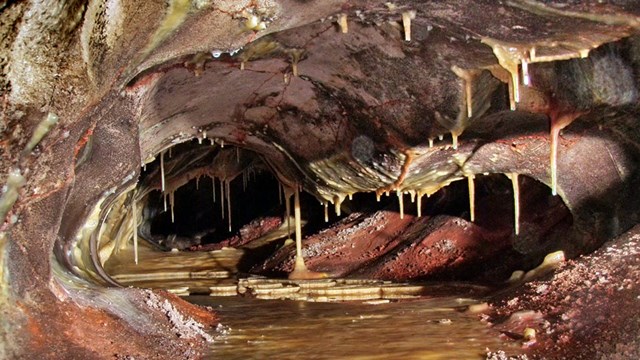 Stalactites and flowstone in a cave passage in Wind Cave National Park.