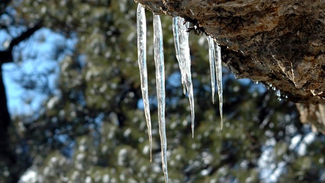 Icicles hang from a large boulder at Mount Rushmore National Memorial