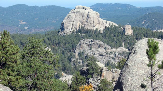 Granite outcrops surrounded by ponderosa pine forest near Mount Rushmore.