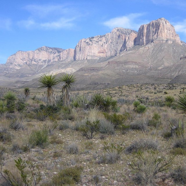 Mountains rise from the desert floor.