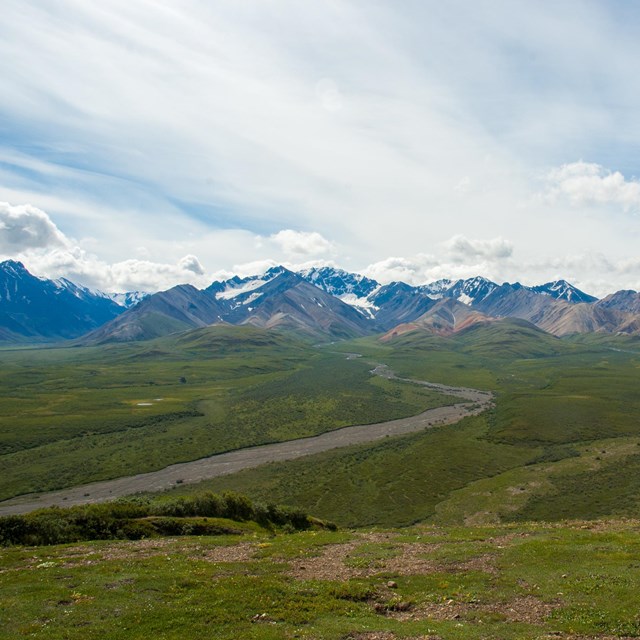 Distant mountain range with tundra in the foreground.