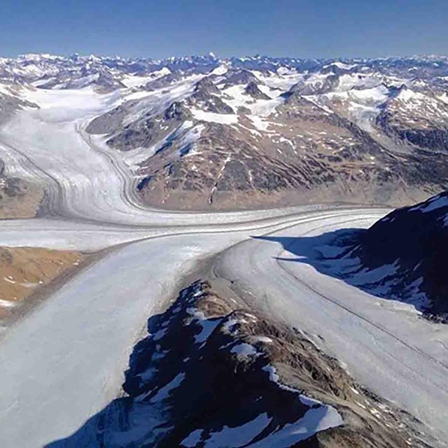 An aerial view of multiple glaciers coming together.