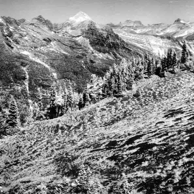 A black and white historic photo of Glacier National Park.