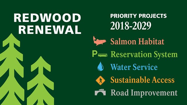 Green image with light green trees and list of words describing Redwood Renewal Begins projects
