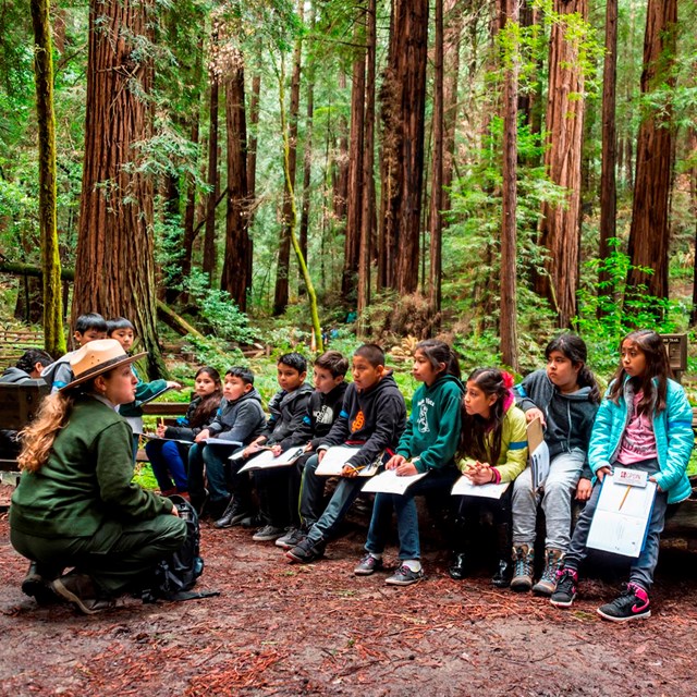 A ranger sits in front of a group of children in the middle of a redwood grove