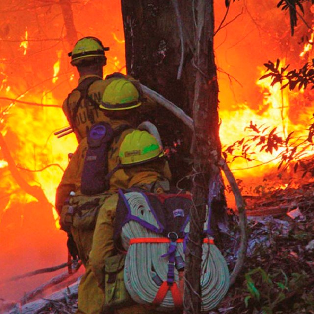 Redwood Creek near the Main Trail at Muir Woods