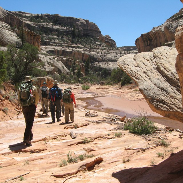a group of people with backpacks hike in a desert environment