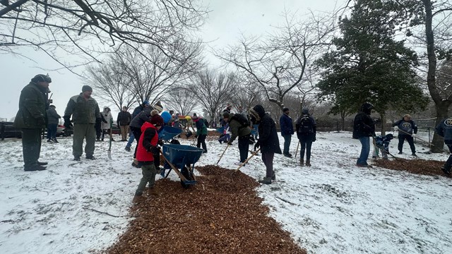 Group Volunteer project laying down mulch 