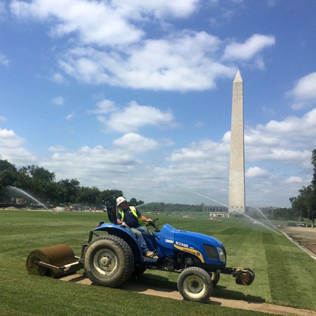 Person on a tractor unrolling sod near the Washington Monument