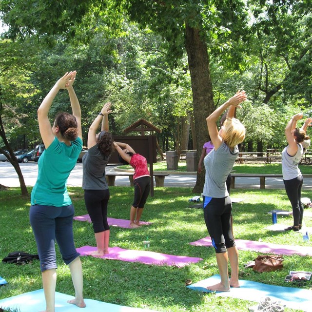 Group doing yoga poses on mats in a park