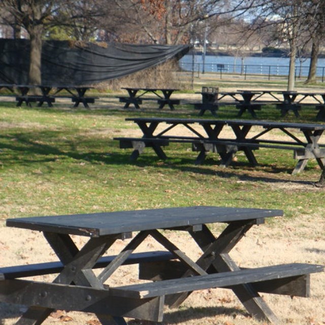 Several picnic tables under a tree in a park