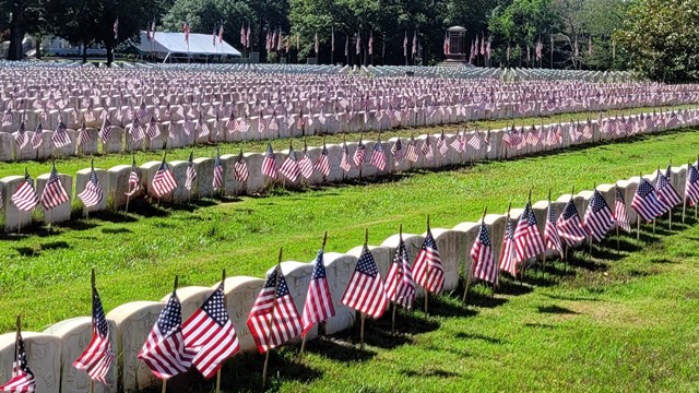 American flags are lined up along rows of marble grave markers at Andersonville National Cemetery
