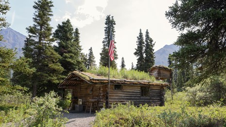 view of Richard L. Proenneke cabin and surrounding forest in front of mountains
