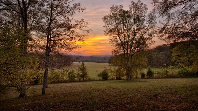 A pink, orange and blue sunrise seen over a field between trees.