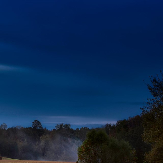 A dark indigo sky over a misty field. 