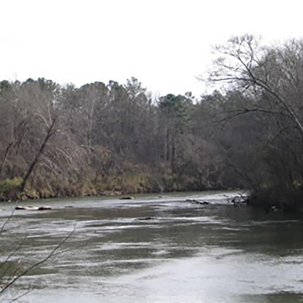 A river through a forest.