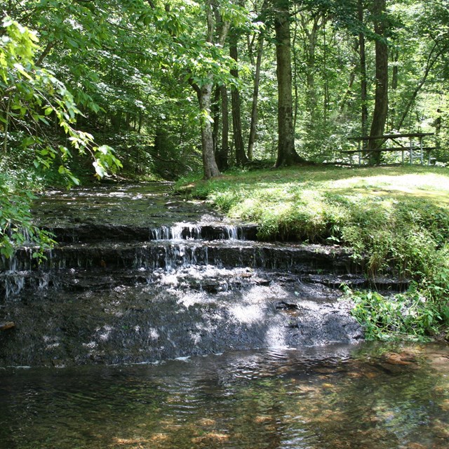 A stream cascading over a rock outcrop in a forest.