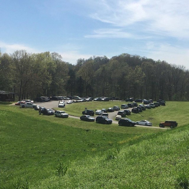 A long distance photo of about 50 cars parked in a circular drive in front of a forest. 