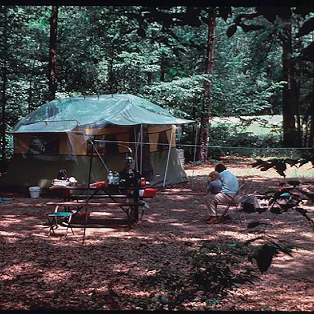 In a forest, a tent, picnic table, and a man with a child.