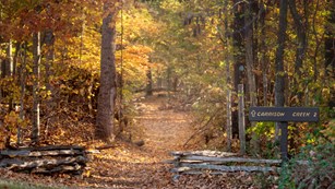 Trailhead of HIghland Rim Section. Trees with yellow and orange leaves border both sides of trail.