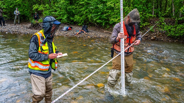 two people in bug nets and waders stand in a stream with long measuring tapes