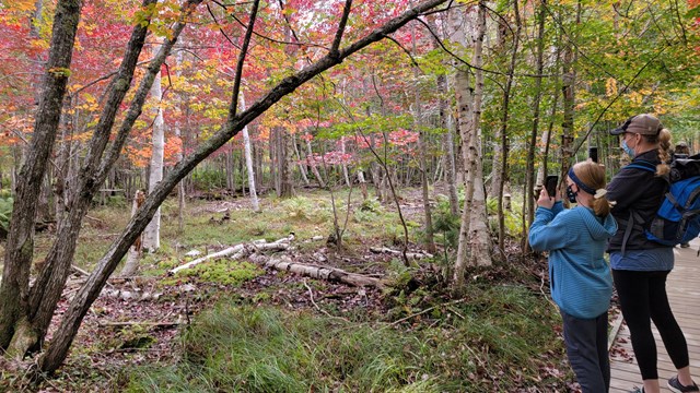 an adult and child stop to take a picture of red and green leaved trees