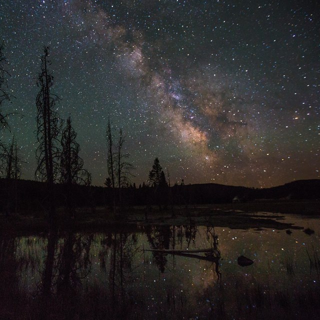 the milky way in a starry night sky over silhouetted trees