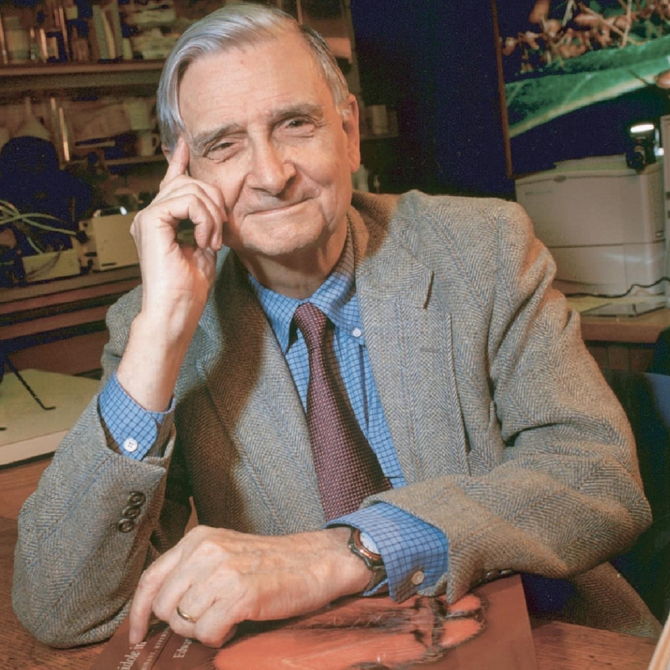 e.o. wilson