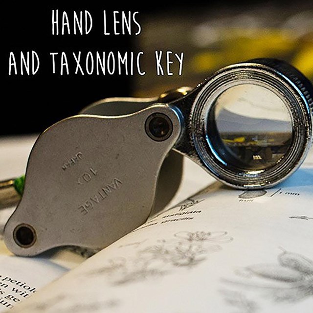 handlens and book