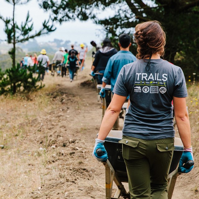 a line of conservation volunteers, one with a wheelbarrow, on a trail