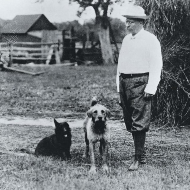 Black and white photo of Theodore Roosevelt standing with two dogs on a farm