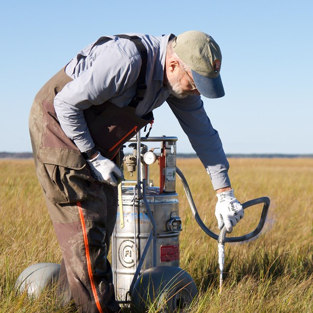 A biologist wearing waders and a green cap stands next to a metal barrel in a salt marsh