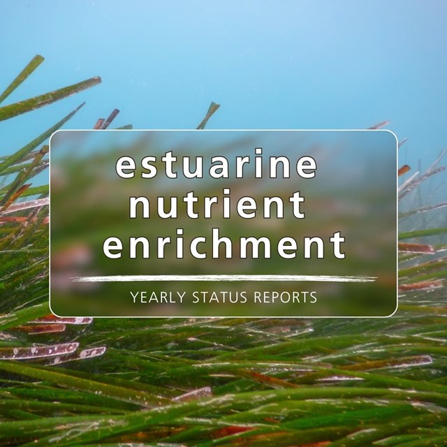 Text over an image of eelgrass that reads, estuarine nutrient enrichment yearly status reports.