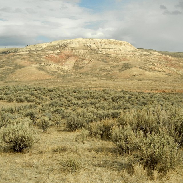 Sagebrush and butte