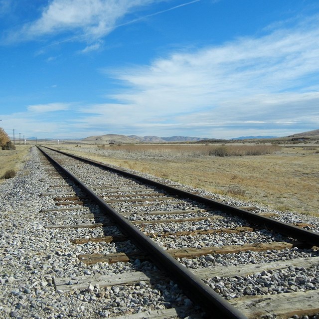 Train tracks head into the distance 