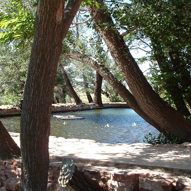 Rock-walled pond surrounded by trees