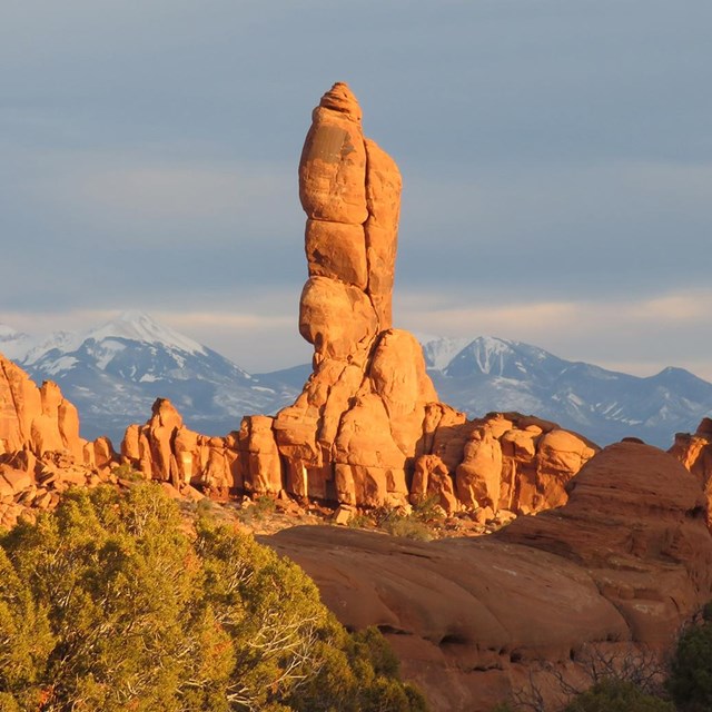 Red rock spires with mountains in background and juniper in foreground