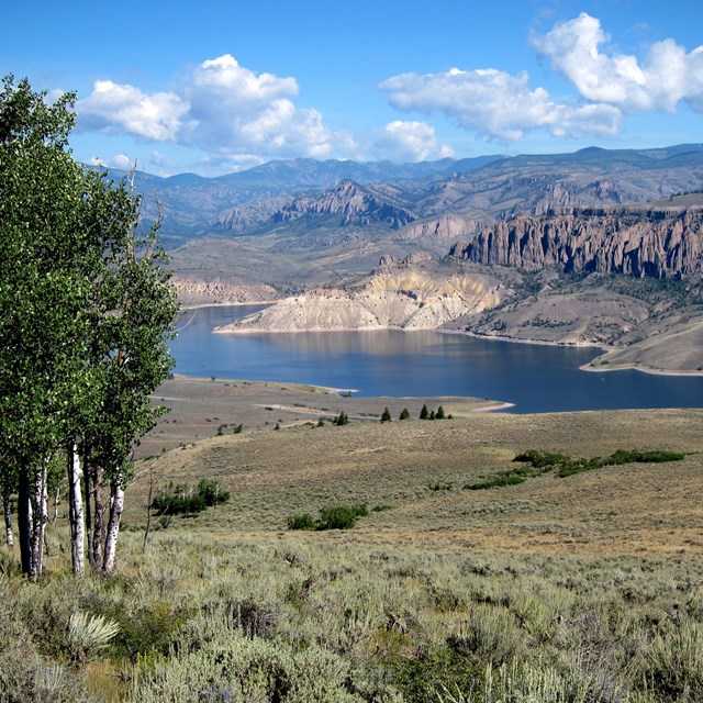 Sagebrush with lake and cliffs