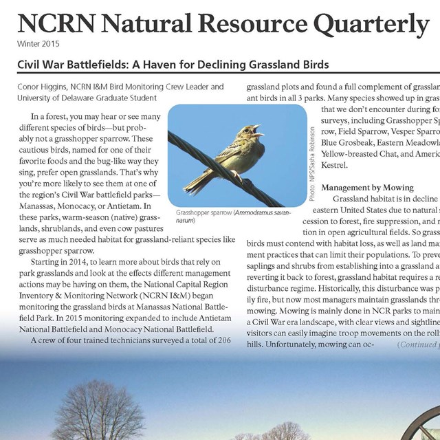 Newsletter cover with a photo of a small bird perched on a wire.