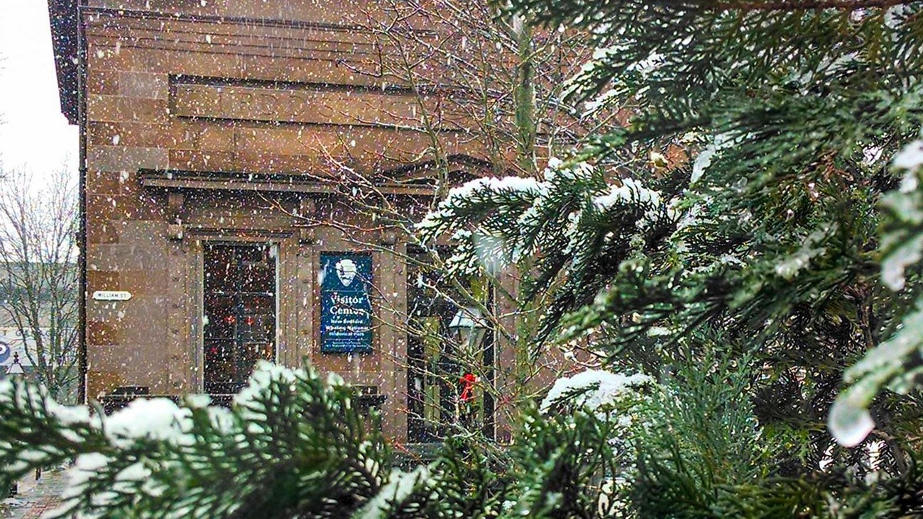 Snowy view of the visitor center with a pine tree 