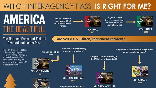 Infographic titled "Which Interagency Pass is Right for Me?"