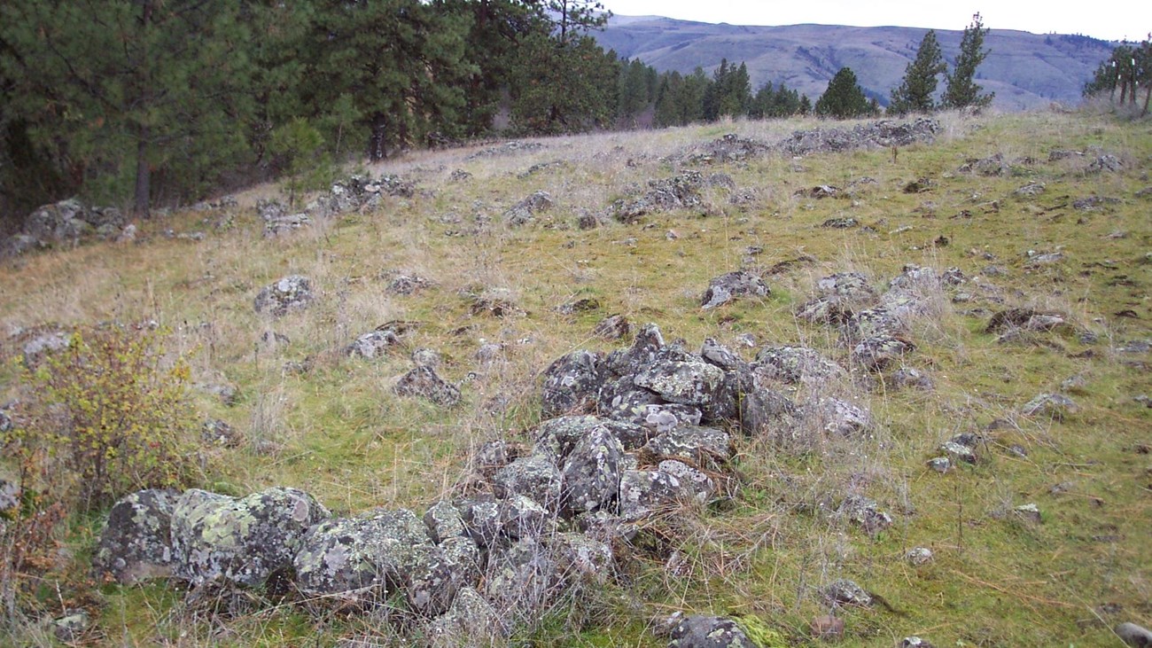 A grassy hillside filled with rocks.