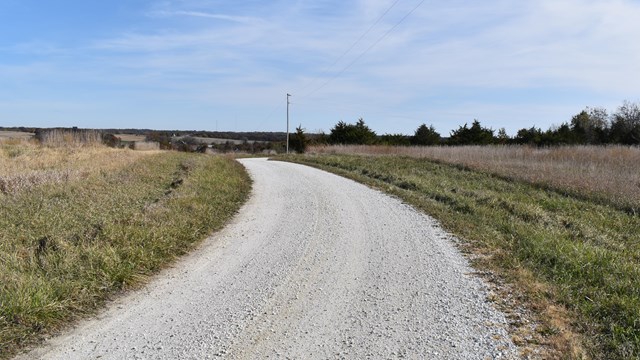 A crushed gravel road moving away from you and curving left through open fields with tall grass.
