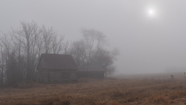 A dense fog hangs over a field, with two wooden cabins and trees barely visible in the distance.